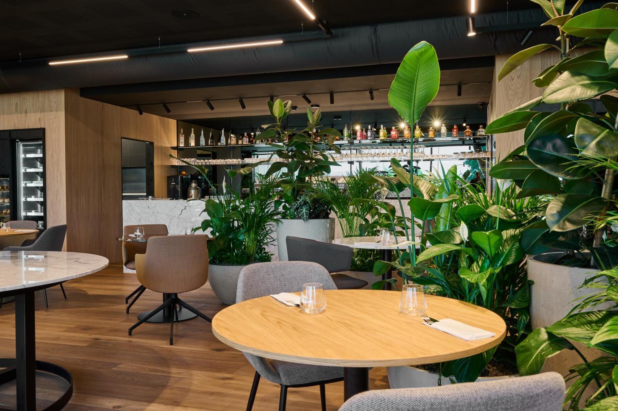 Aba Apartments Olomouc Dış mekan fotoğraf
